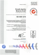 Borealis ISO 45001 Certificate (Linz)