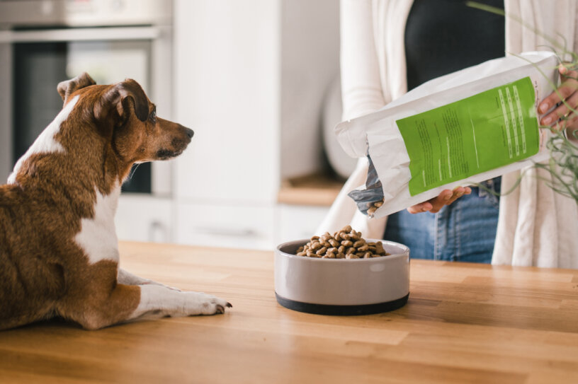 Consumer Products Dog food pouch