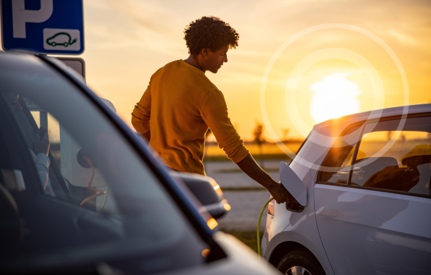 Stelora Key Visual incl Pulse