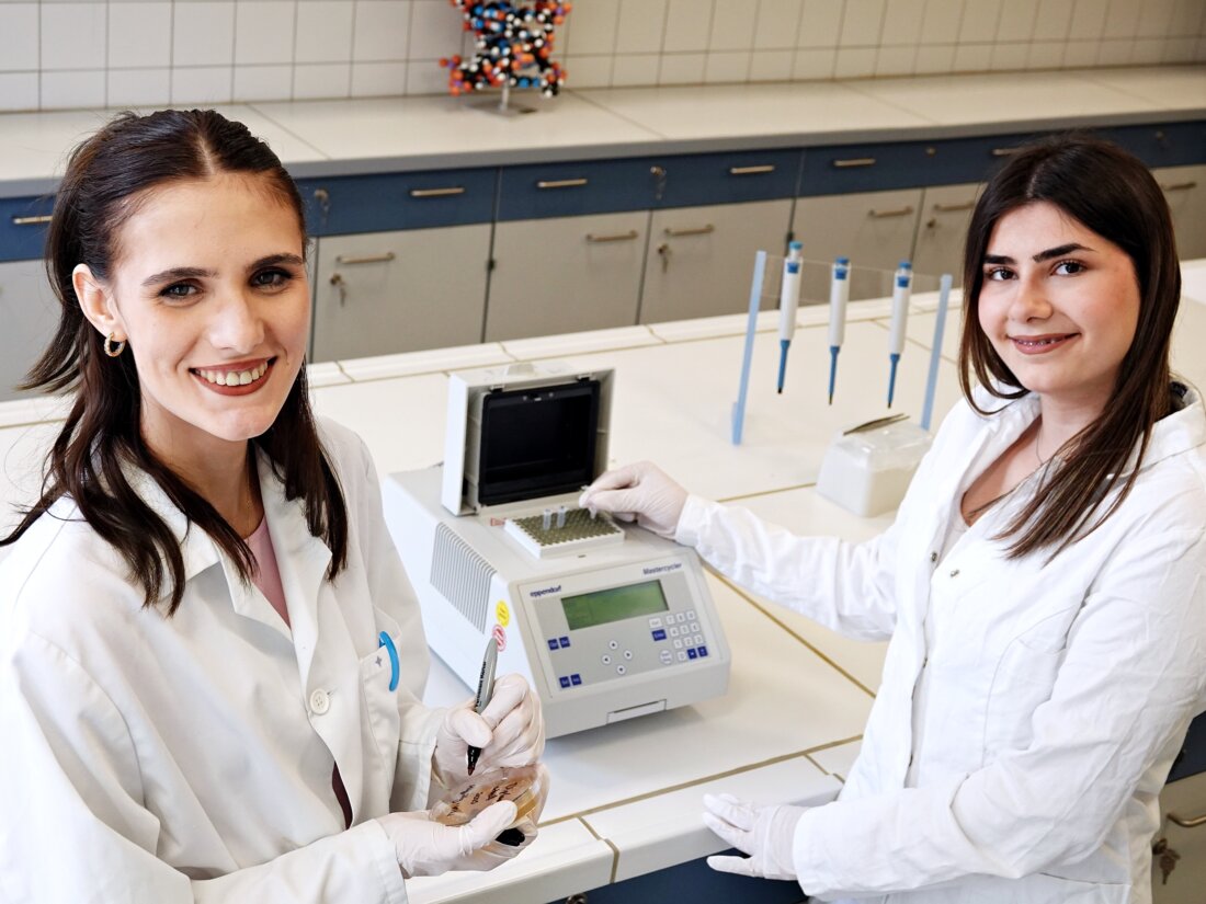 Photo: Analysis of the plastic-eating fungi