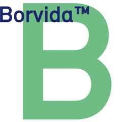 Borvida B Logo 700x700px2
