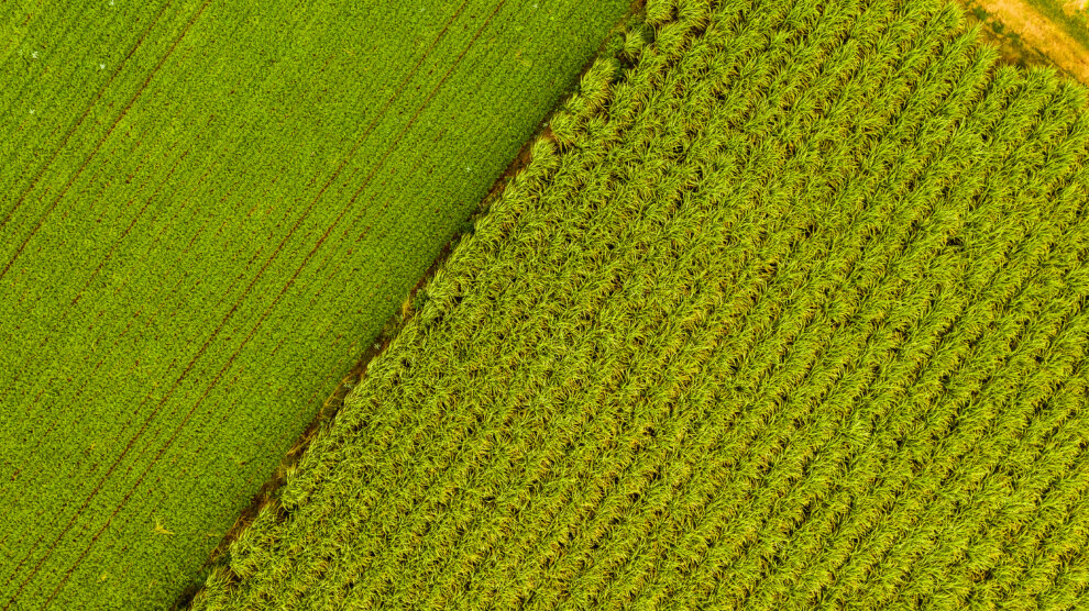 Corporate PO Images 020 2021